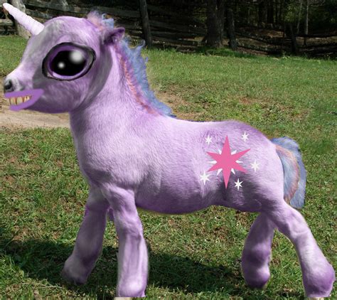 mlp fluffy|fluffy pony in real life.